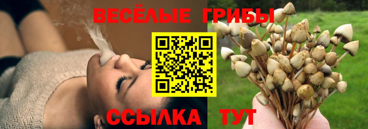 Ухта  Псилоцибиновые грибы мухоморы  Вход с VPN 